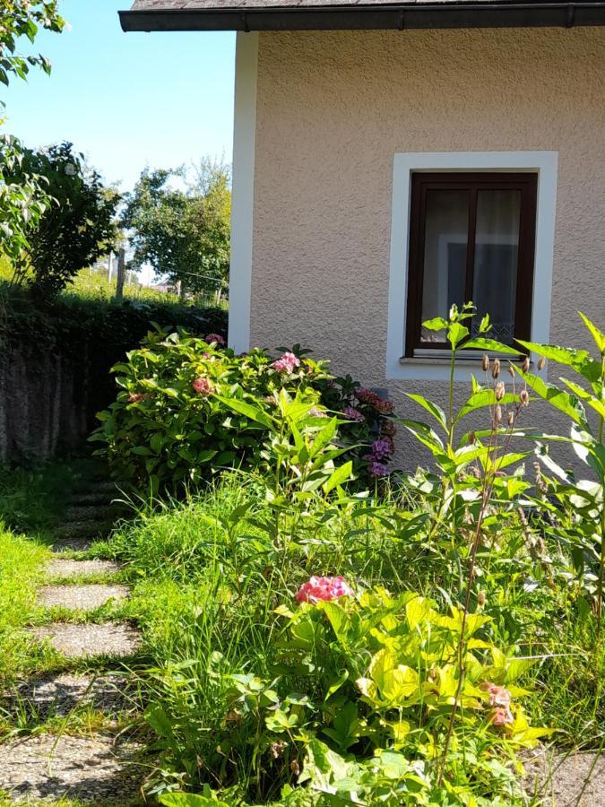 Miniponyhof Biohof Almbauer Lägenhet Waidhofen an der Ybbs Exteriör bild