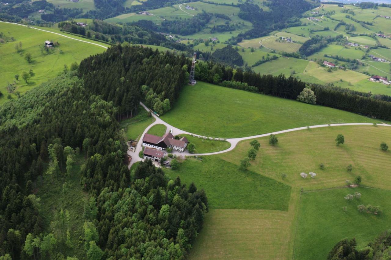 Miniponyhof Biohof Almbauer Lägenhet Waidhofen an der Ybbs Exteriör bild