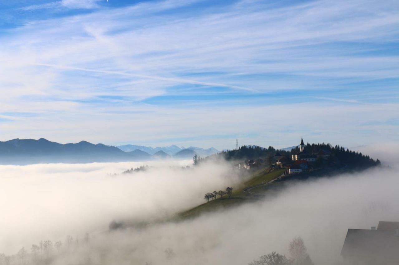 Miniponyhof Biohof Almbauer Lägenhet Waidhofen an der Ybbs Exteriör bild