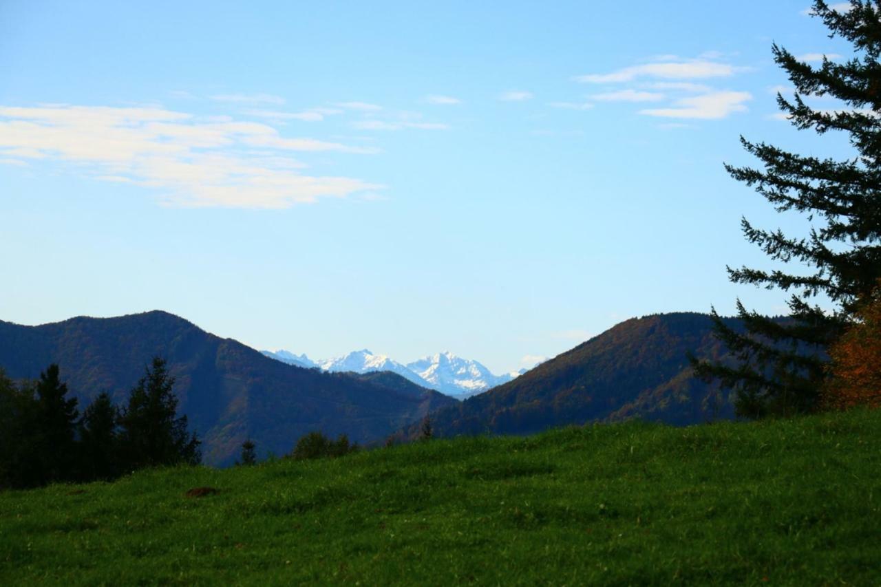 Miniponyhof Biohof Almbauer Lägenhet Waidhofen an der Ybbs Exteriör bild