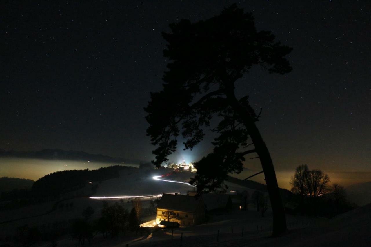 Miniponyhof Biohof Almbauer Lägenhet Waidhofen an der Ybbs Exteriör bild