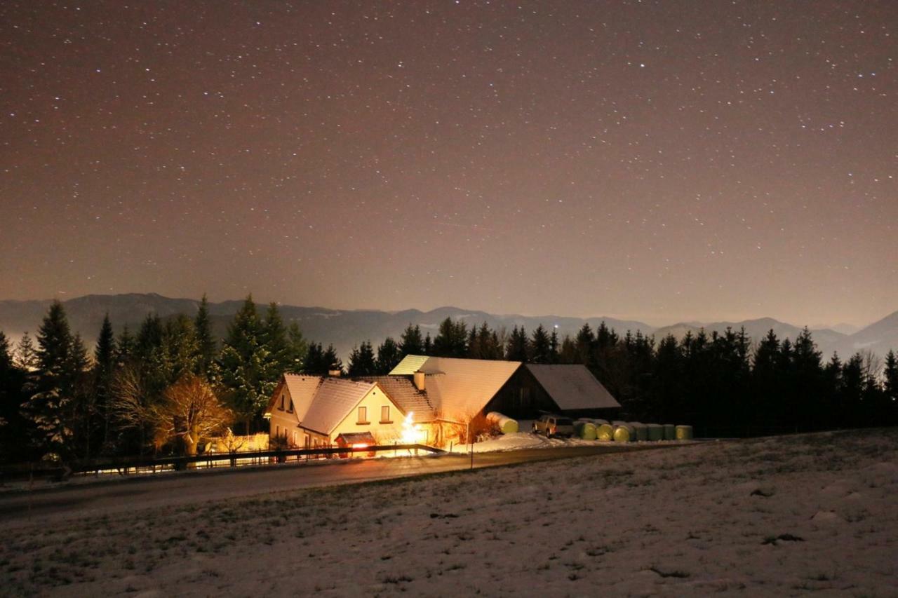 Miniponyhof Biohof Almbauer Lägenhet Waidhofen an der Ybbs Exteriör bild